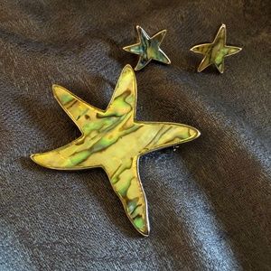 Star Pendant/Brooch and earrings